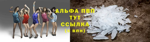 прущий лед Алзамай