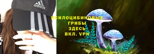 прущий лед Алзамай