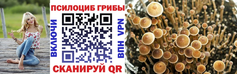 Псилоцибиновые грибы Magic Shrooms  Кондопога 